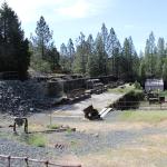 IMG_7511 (May 28, 2024)